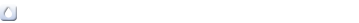免責事項