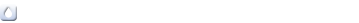 株式情報